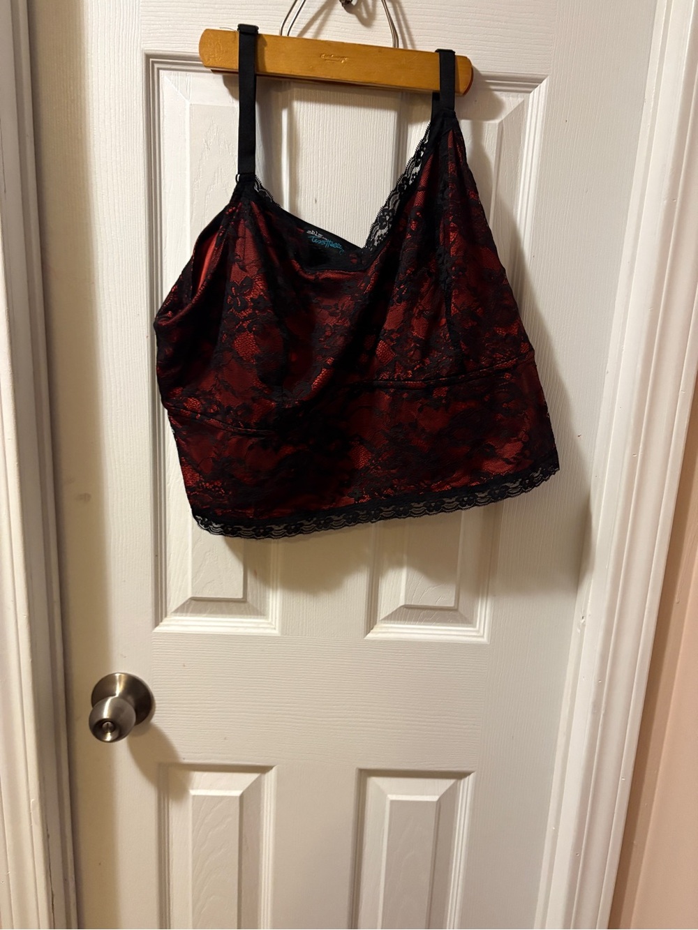 romantic goth satin and lace cropped tank